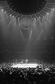 Boxing Match