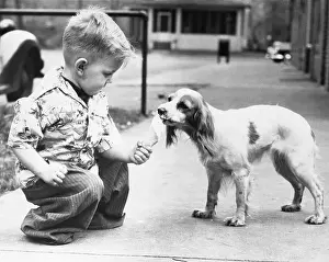Indulgence Prints: Boy (6-7) giving ice cream to dog