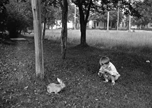 Boy (8-9) playing with rabbit in park