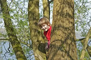 Images Dated 19th April 2014: Boy climbing a tree