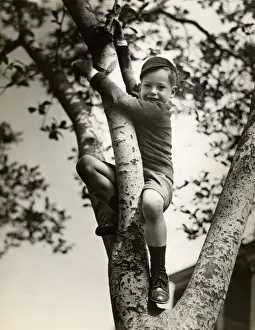 Boy climbing tree