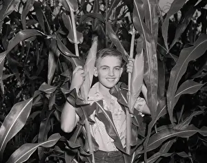 Missouri Prints: Boy in Corn Field