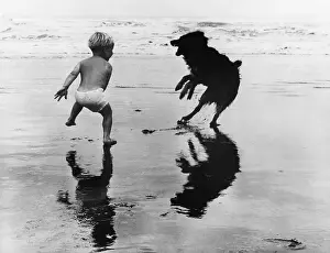 Beachgoer Prints: Boy and Dog Playing on a New Zealand Beach