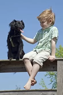 Boy with dog sitting on a fence