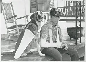 Boy and Dog Wearing Casts
