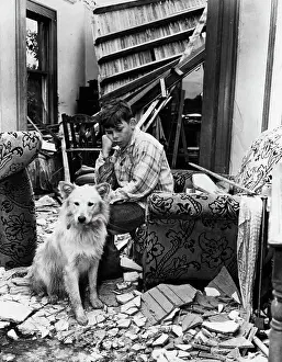 Wreckage Prints: Boy And Dog In Wreckage Of Home
