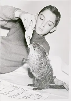 Boy Feeding a Groundhog