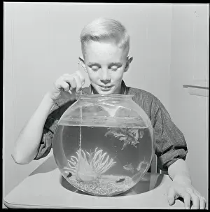 Fishbowl Prints: Boy Fishing in Bowl with Net