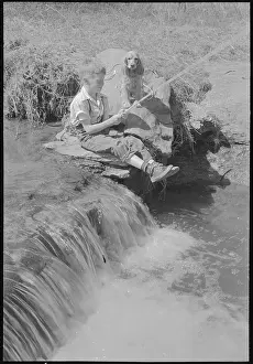 Spaniel Prints: Boy Fishing with Dog