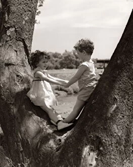 Tree Trunk Gallery: Boy Girl Holding Hands Looking One Another