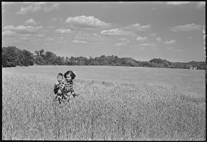 Pastoral Prints: Boy and Girl in Wheat Field