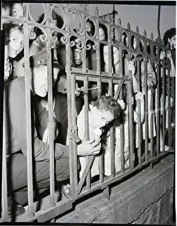 Cone Prints: Boy With Head Stuck In Fence Eats Ice Cr