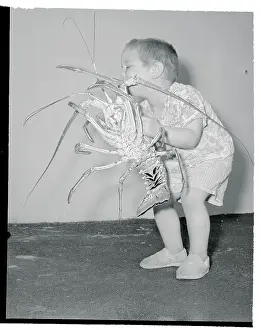Boy Holding Lobster