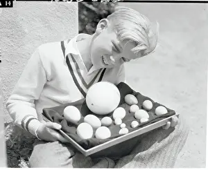 Boy Holding Rare Bird Eggs