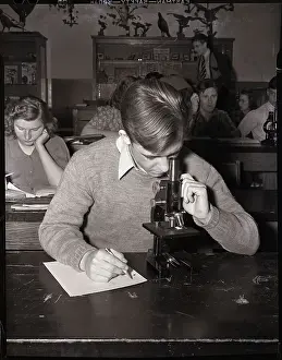 Class Prints: Boy Looking into Microscope