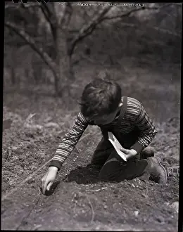 Seeds Prints: Boy Planting Seeds