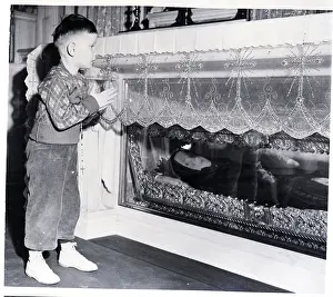 Shrine Prints: Boy Praying at Shrine