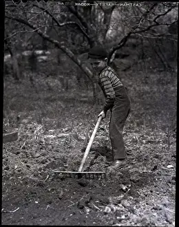 Rake Prints: Boy Raking Garden