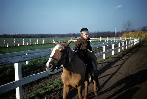Dmitriupload1 Prints: Boy Rides A Pony