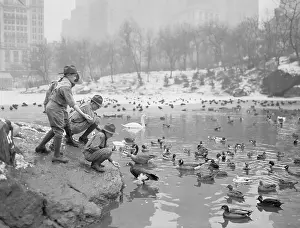 Artificial Lake Prints: Boy Scouts Feeding Ducks