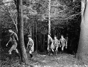Trail Prints: Boy Scouts Hiking Through the Woods