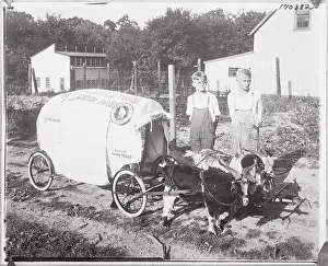 Goat Prints: Boy Scouts Posing Behind Billy Goats and Prairie Schooner