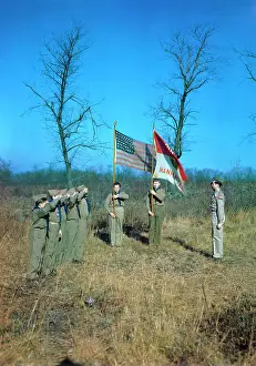 Boy Scouts Saluting During Ceremony