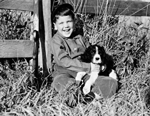 Boy sitting leaning against fence, holding spaniel puppy, smiling and laughing