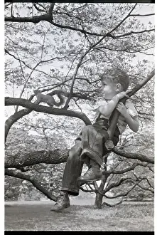 Squirrel Prints: Boy Sitting In Tree With Squirrel