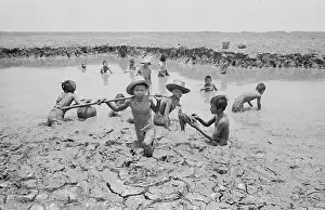 Boys Catching Fish from Rice Paddy