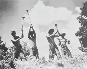 Laborer Prints: Boys Cutting Down Trees for New Highway