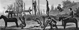 Gymnasium Prints: Boys Exercising On Outdoor Gym Equipment