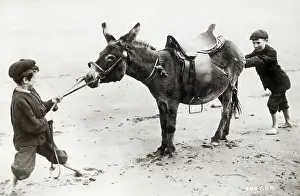 Pulling Prints: Boys Pushing & Pulling Stubborn Mule