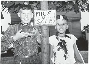 Boys by Sign