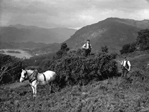 Landscape Male Animal Working Prints: Bracken Harvest