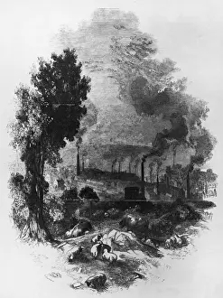 Environmental Damage Prints: Bradford