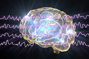 Biological Gallery: Brain and brain waves during rest, illustration