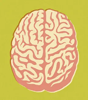 Green Background Prints: Brain on Green Background