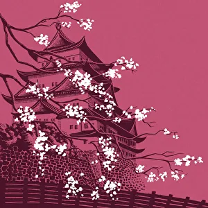 Images Dated 2nd October 2014: Branch In Front of a Pagoda