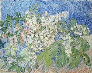 Van 1853 1890 Prints: Branches De Marronniers En Fleur
