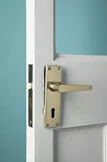 Brass handle on door