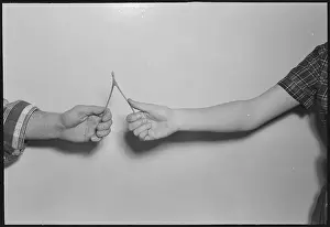 Good Luck Prints: Breaking a Wishbone