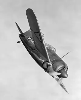 Java Prints: Brewster Buffalo Fighters