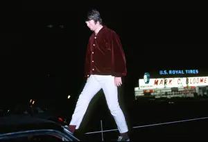 Brian Wilson In Hollywood