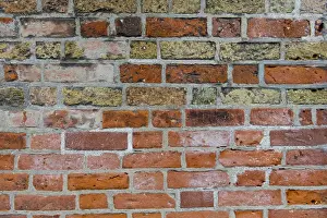 Peeling Off Prints: Brick wall, Andresens Kobmandsgard or merchants house