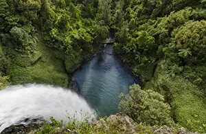 Rain Forest Gallery: Bridal Veil Falls from above, plunging into a lake, Raglan, Waikato, North Island, New Zealand