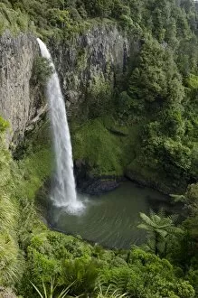 Images Dated 27th November 2011: Bridal Veil Falls, Raglan, Waikato, North Island, New Zealand