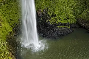Images Dated 27th November 2011: Bridal Veil Falls surrounded by dense rainforest, Raglan, Waikato, North Island, New Zealand