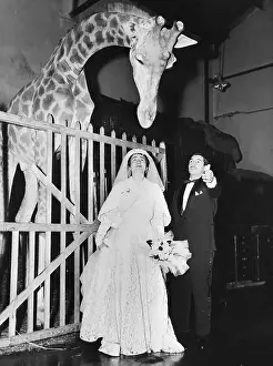 Kiss Prints: Bride and Groom at the Paris Winter Circus