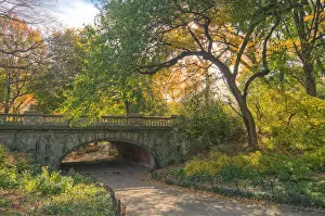Images Dated 8th November 2014: A bridge in Central Park, NYC